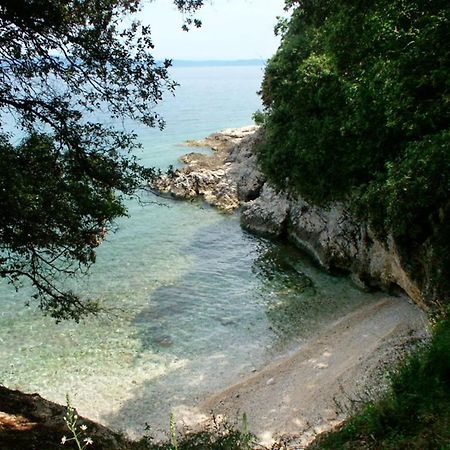 Apartments By The Sea Duga Luka - Prtlog, Labin - 2367 Дрене Экстерьер фото