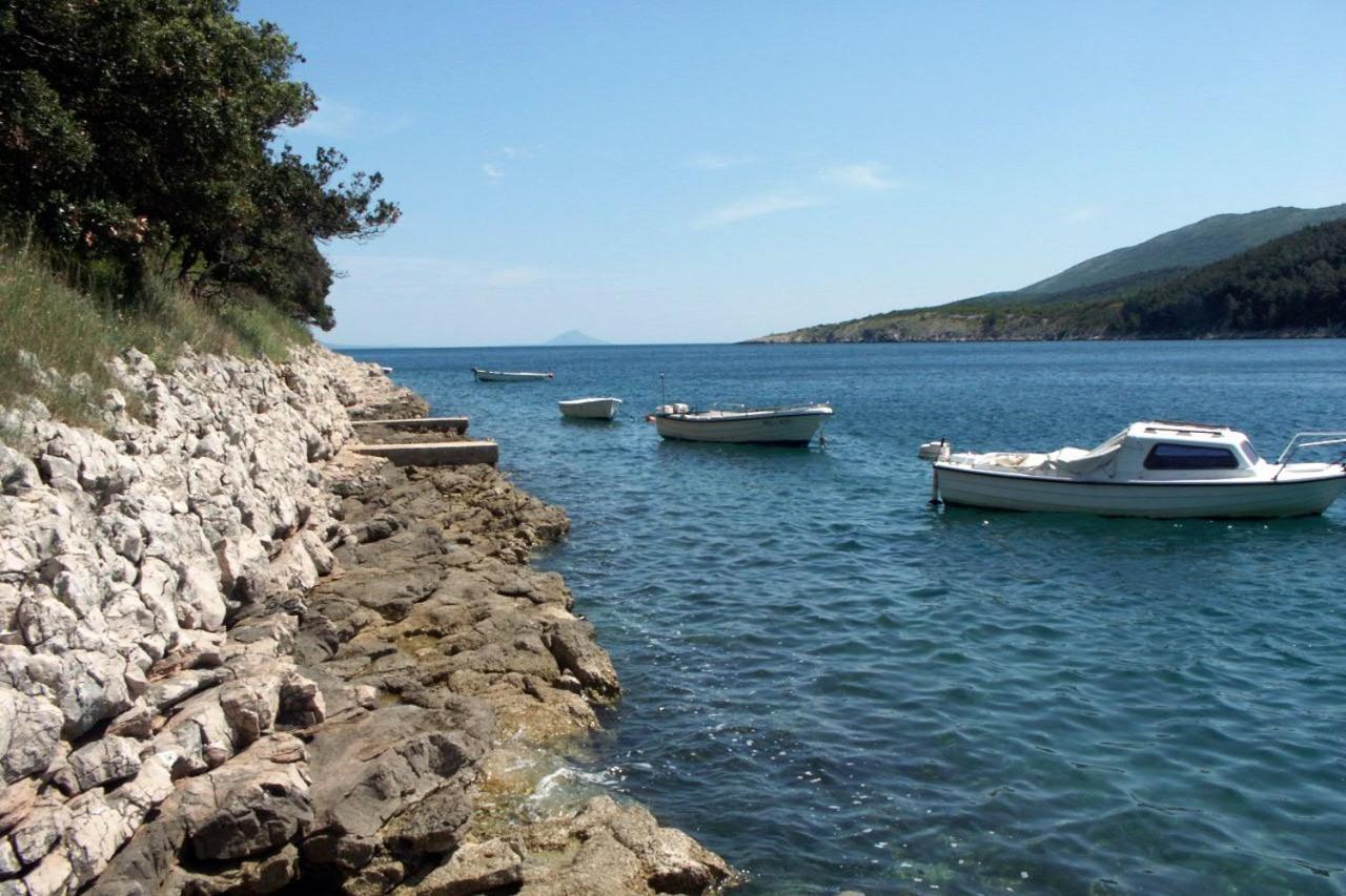 Apartments By The Sea Duga Luka - Prtlog, Labin - 2367 Дрене Экстерьер фото