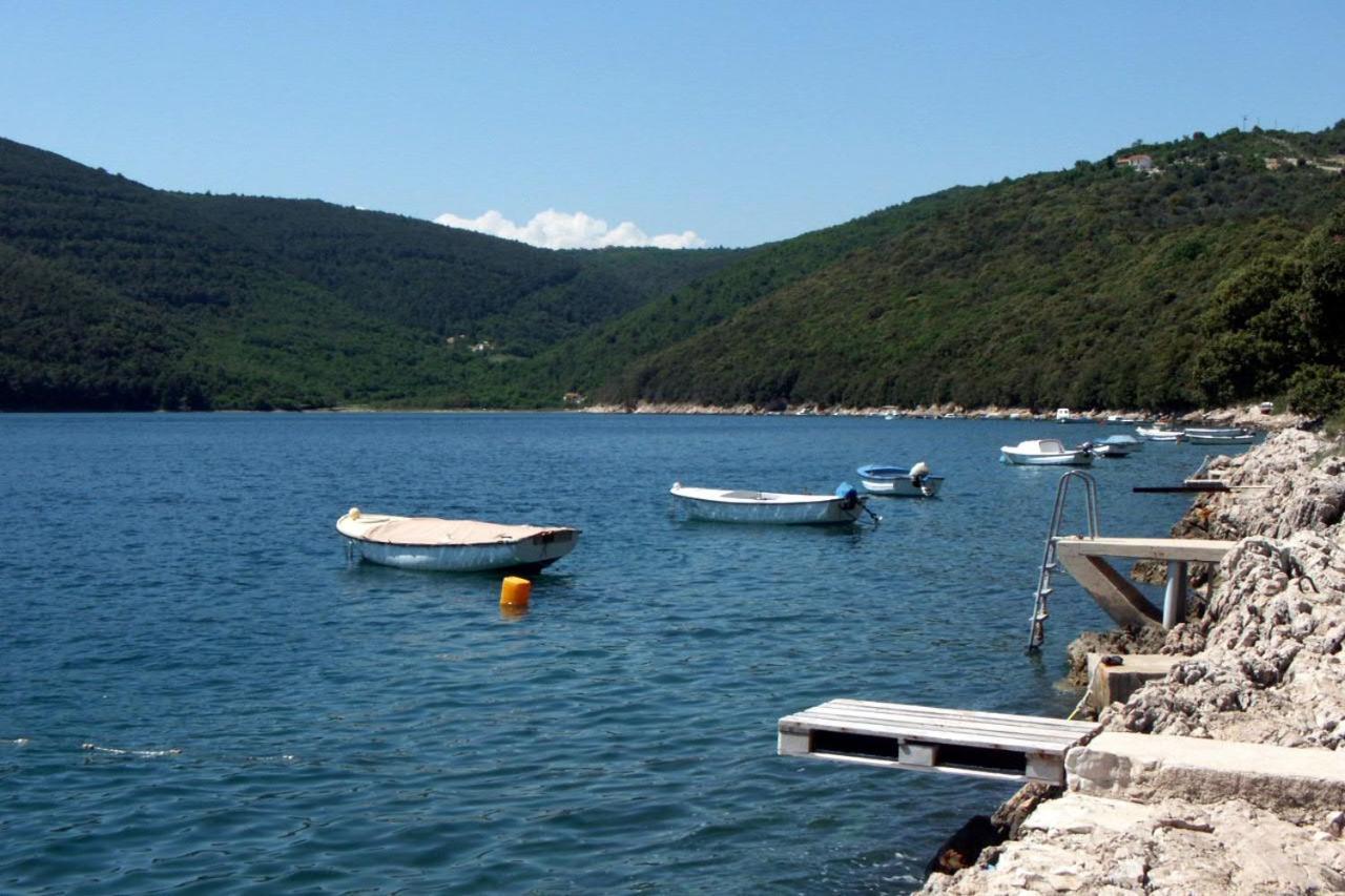 Apartments By The Sea Duga Luka - Prtlog, Labin - 2367 Дрене Экстерьер фото
